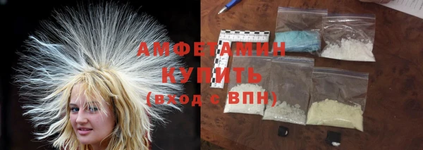 твердый Долгопрудный