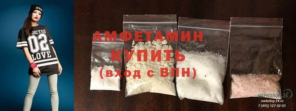 твердый Долгопрудный