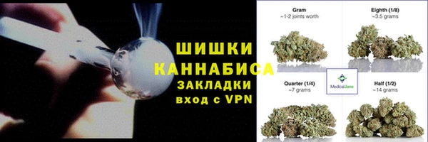 твердый Долгопрудный