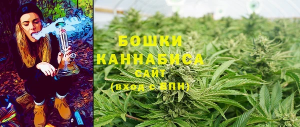 твердый Долгопрудный