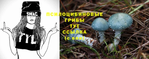 твердый Долгопрудный