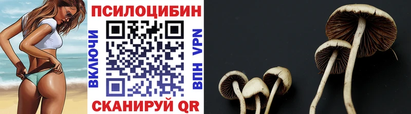 Псилоцибиновые грибы Cubensis  Купить где  Бузулук 